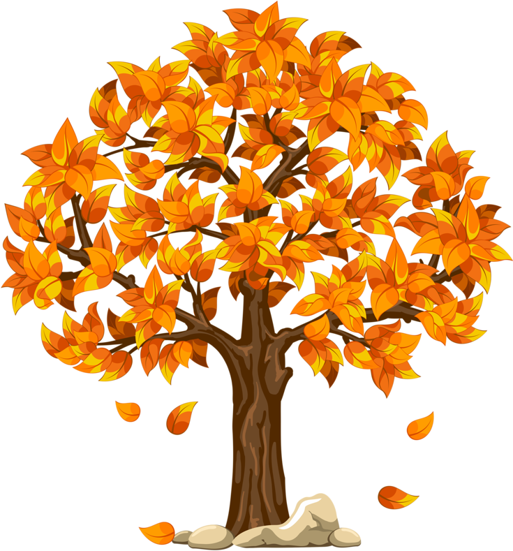 2 - Fall Tree Clipart Transparent (758x800), Png Download