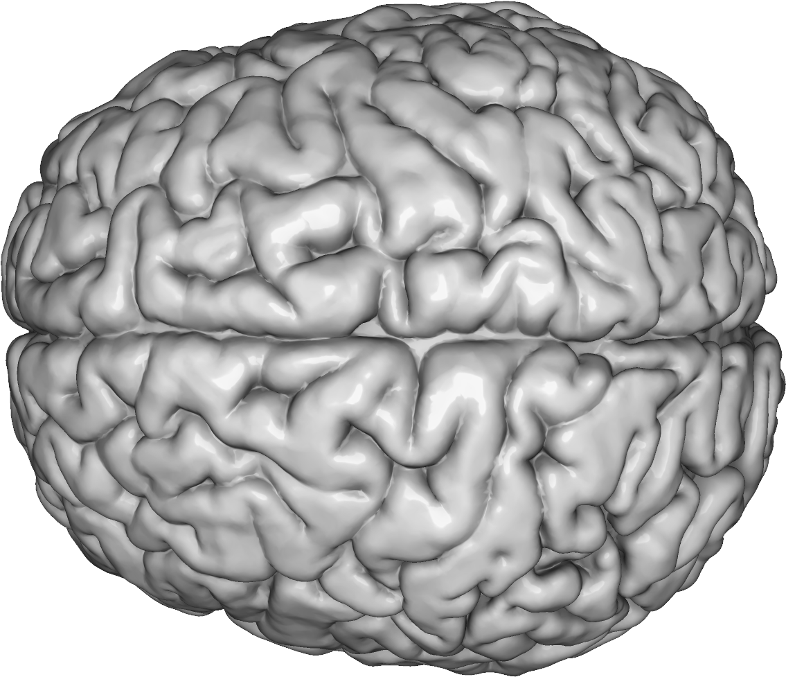 By Threeform Jan 21, 2018 View Original - Human Brain (1310x982), Png Download