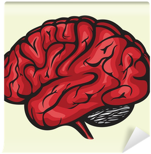 Human Brain (400x400), Png Download