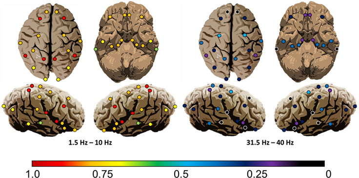 Representational Maps Of Time Independent Pd Correlations - Human (903x369), Png Download