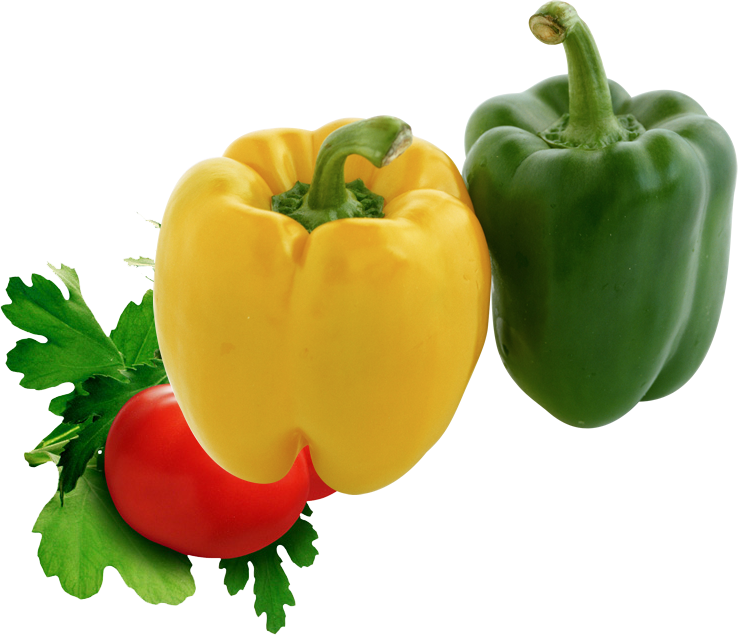 Fresh & Delightful Quality For Your Table - Chutney Labels To Print Free (738x635), Png Download