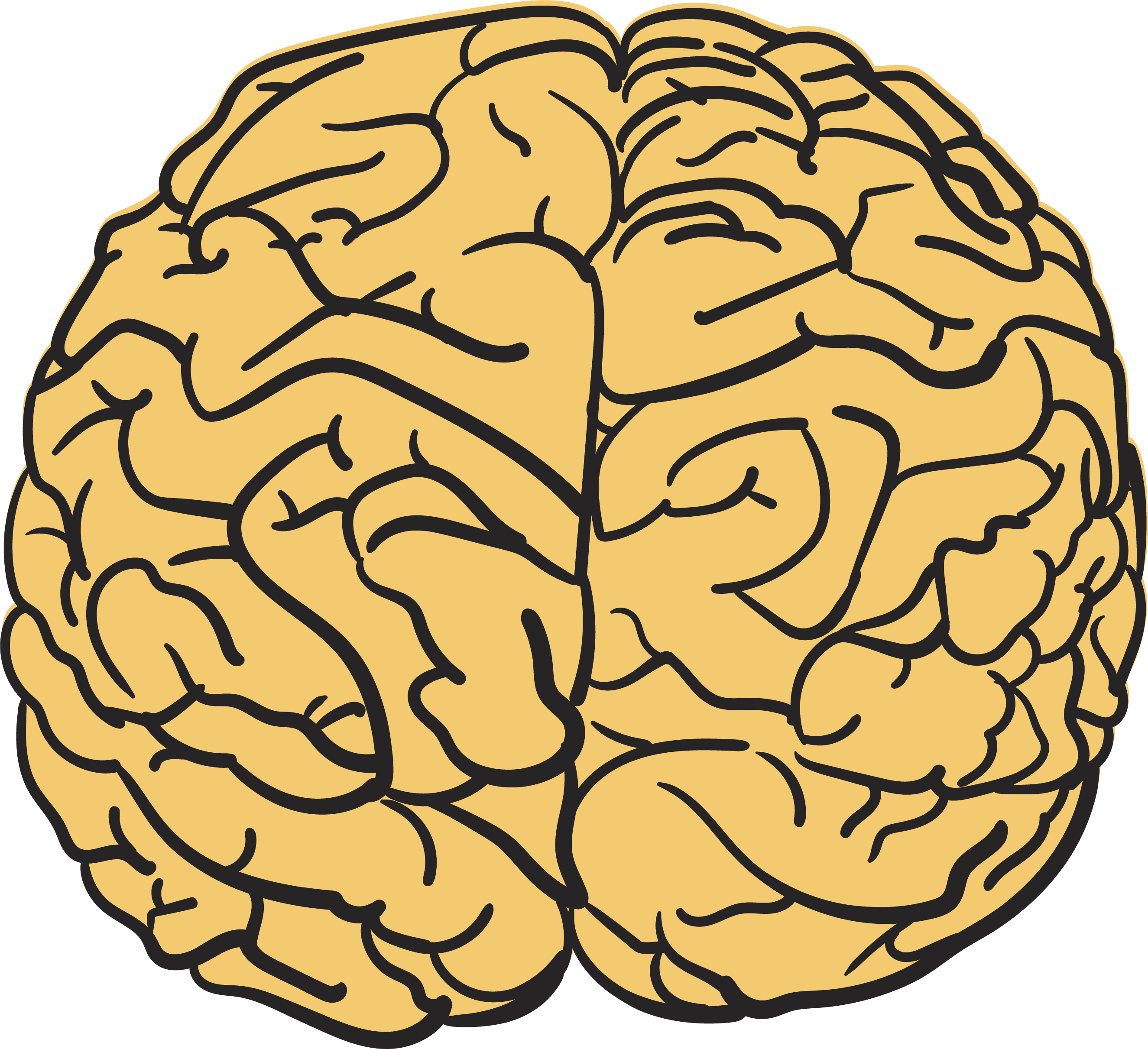 Human Brain T - Cerebro Corrupto (2650x2422), Png Download