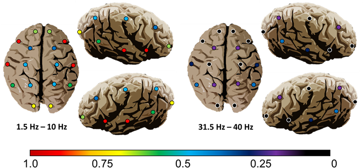 Representational Maps Of Time-independent Pd Correlations - Snack (903x341), Png Download