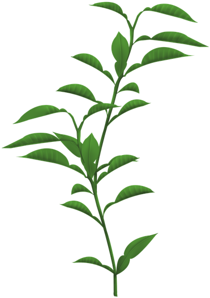Stem Of A Plant Png Transparent Stem Of A Plant - Funny Gardening Gift, Sometimes I Wet My Plants T-shirt (480x720), Png Download