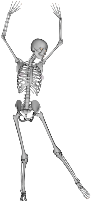 Dancing Bones - Skeleton Dancing Png (600x800), Png Download