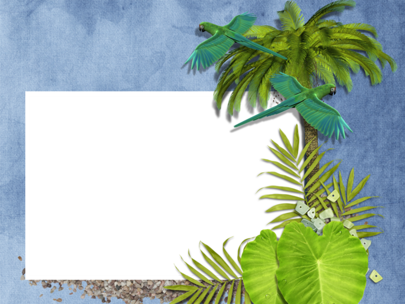 Source - Lepassetempsderose - - Cadre Photo Png Tropical (800x601), Png Download