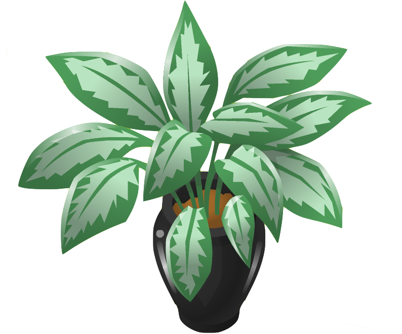 Plant 4 - Animal Jam Chinese Evergreen Plant (902x685), Png Download