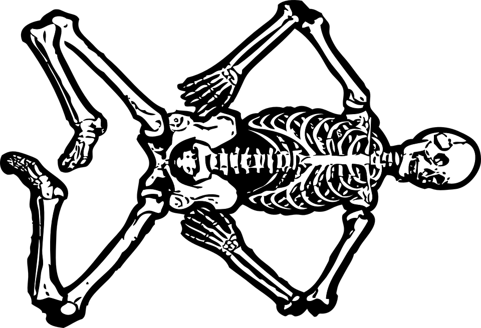 Skeleton Clip Art - Halloween Skeleton Greeting Card (600x409), Png Download