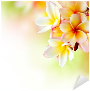 Frangipani Tropical Spa Flower - Hawaiian Jasmine Flower (400x400), Png Download