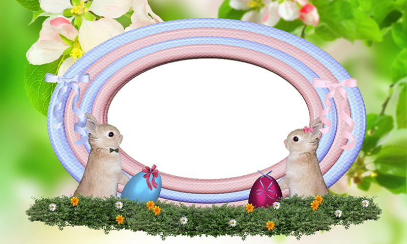 Easter Frames Png Picture - Living God's Story Of Grace By Elizabeth Reynolds Turnage (800x480), Png Download