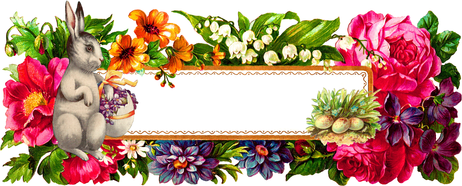 Easter Bunny Flower Eggs Image Label - Png Rectangle Flower Frame (1600x670), Png Download