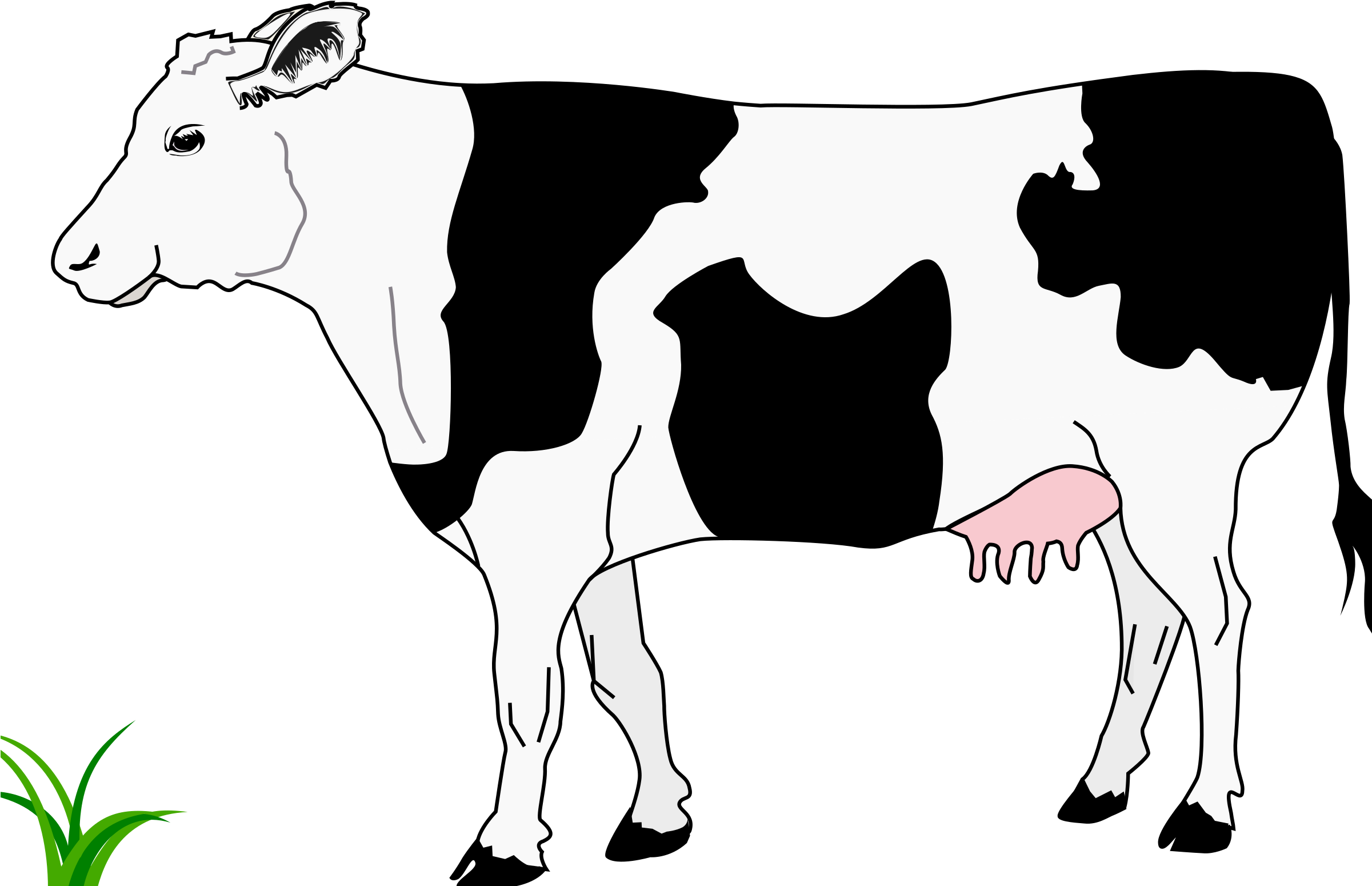 Cow Clipart Black And - Worksheets For Color Red (2400x1613), Png Download