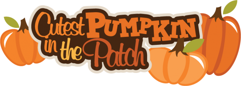Cutest Pumpkin In The Patch Svg Scrapbook Title Fall - Fall Pumpkin Patch Clip Art (800x288), Png Download