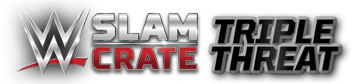 Choose A Future Slam Stars Figure - Jada 4 Metals - Wwe - Brock Lesnar (m203) 98111 (1235x289), Png Download