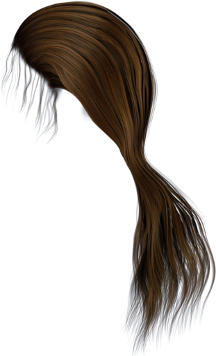 Ponytail Png Hd Transparent Ponytail Hd - Side View Hair Png (600x521), Png Download
