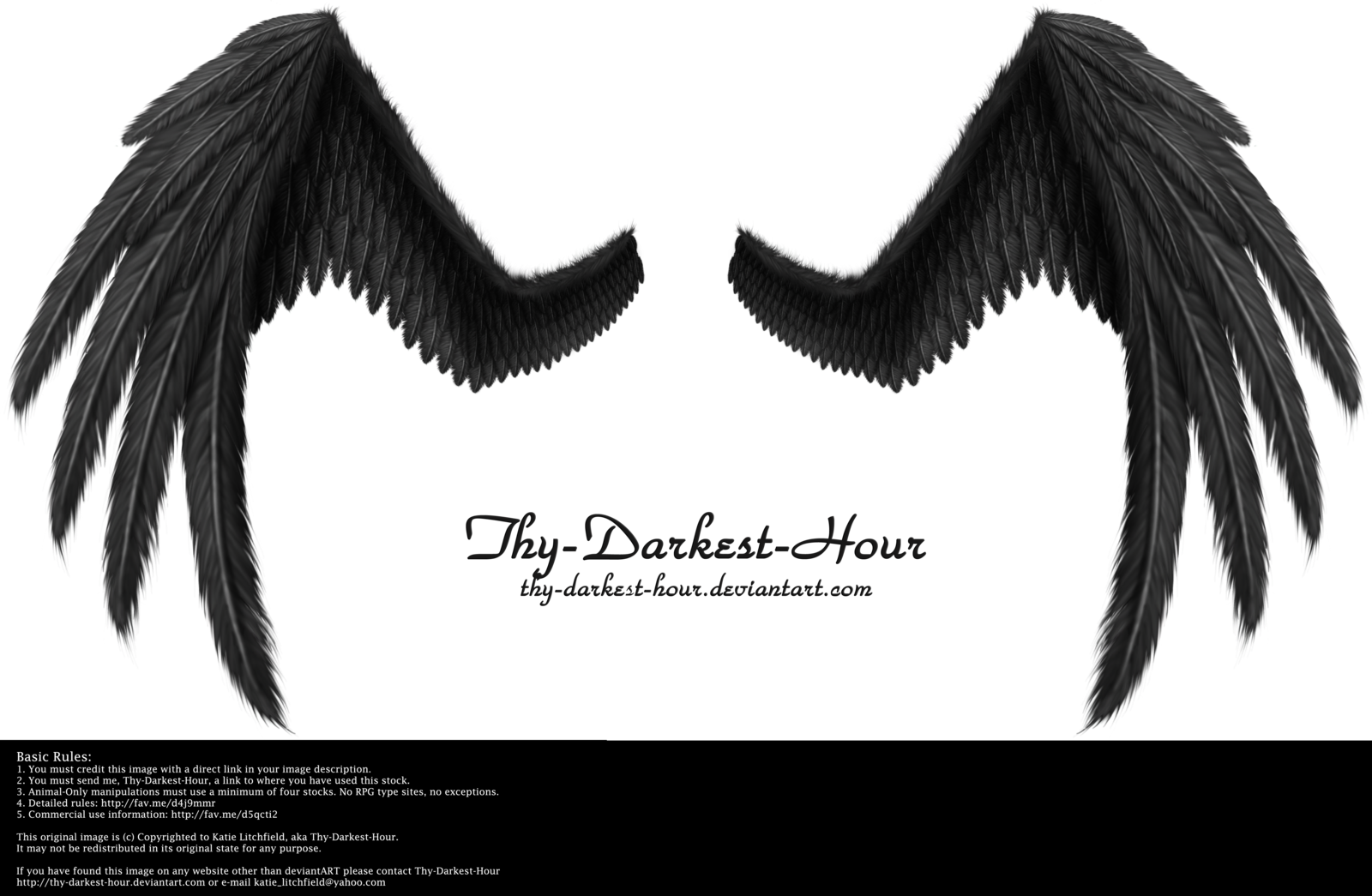 Fallen Angel Wing Png - Alas De Cuervo Png (1600x1045), Png Download