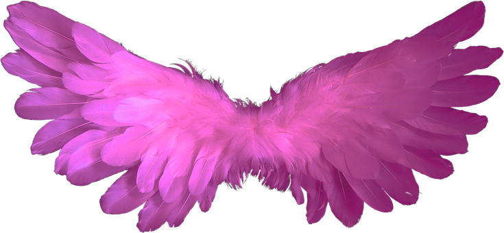 Angel Wings Feather Heaven Angel Wings Rel - Black Angel Wings Transparent (735x340), Png Download