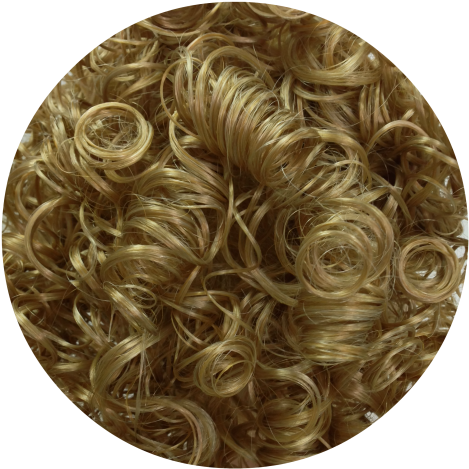 Curly Ponytail M24/613 Dirty Golden Blonde - Blond (500x500), Png Download