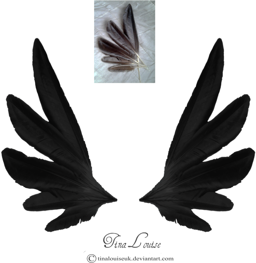 Dark Angel Wings By Tinalouiseuk - Drawing (894x894), Png Download