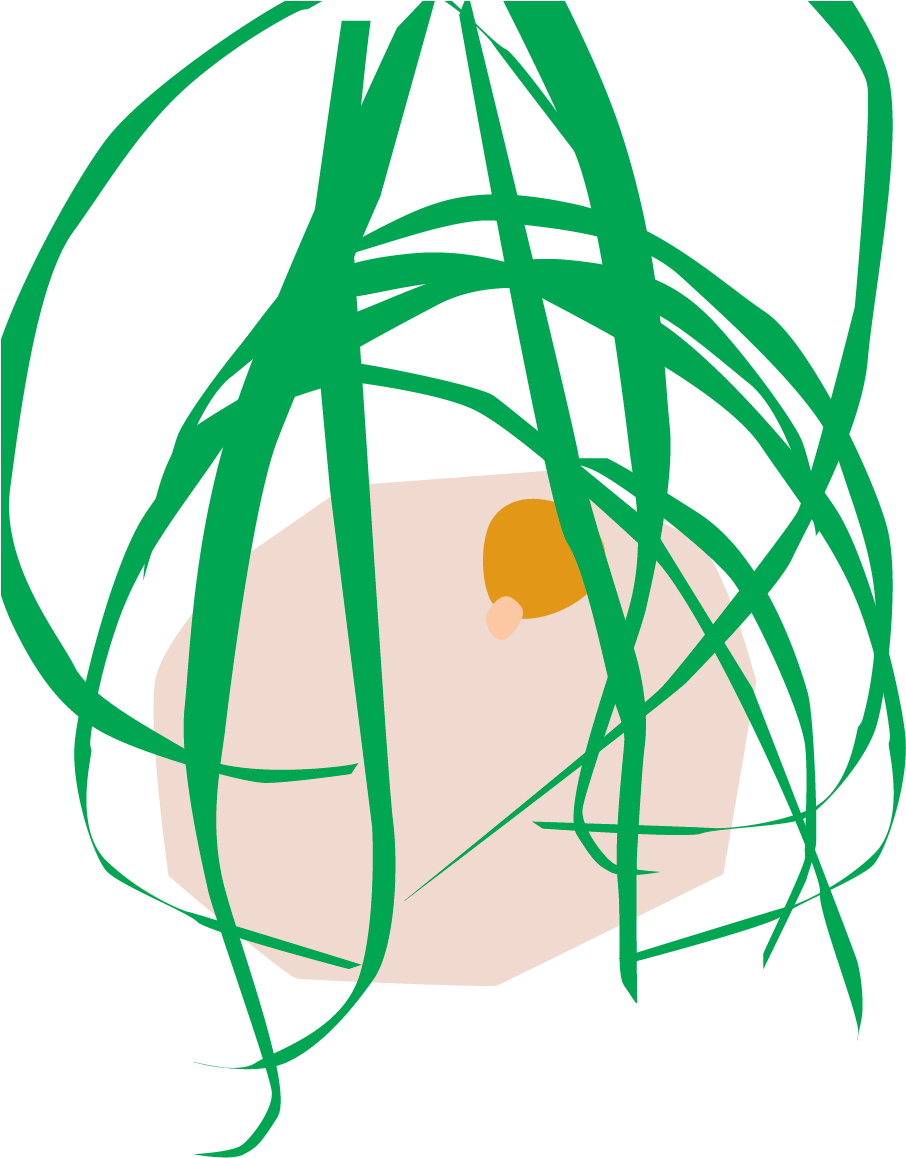 Bloomscape Ponytail Palm - Ponytail Palm (961x1306), Png Download