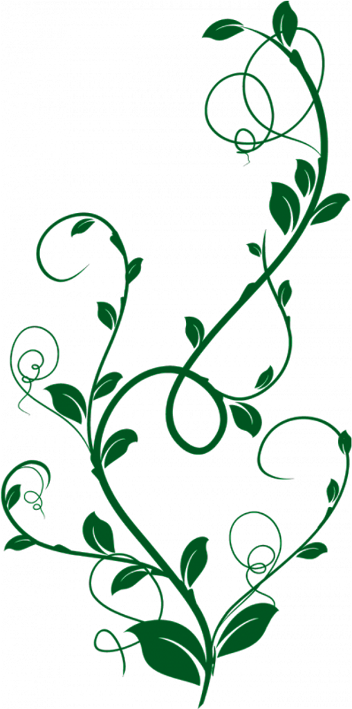 Vector Graphics (1024x1024), Png Download