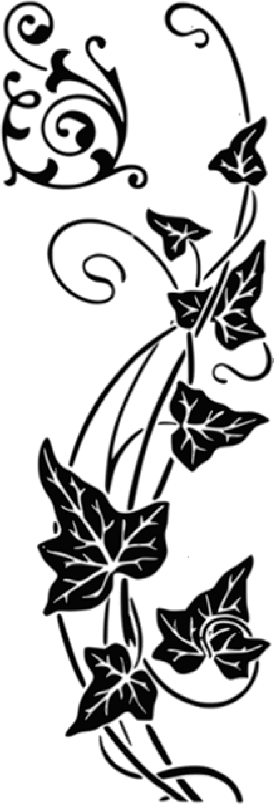 Mb Image/png - Gambar Animasi Bunga Merambat (800x1600), Png Download