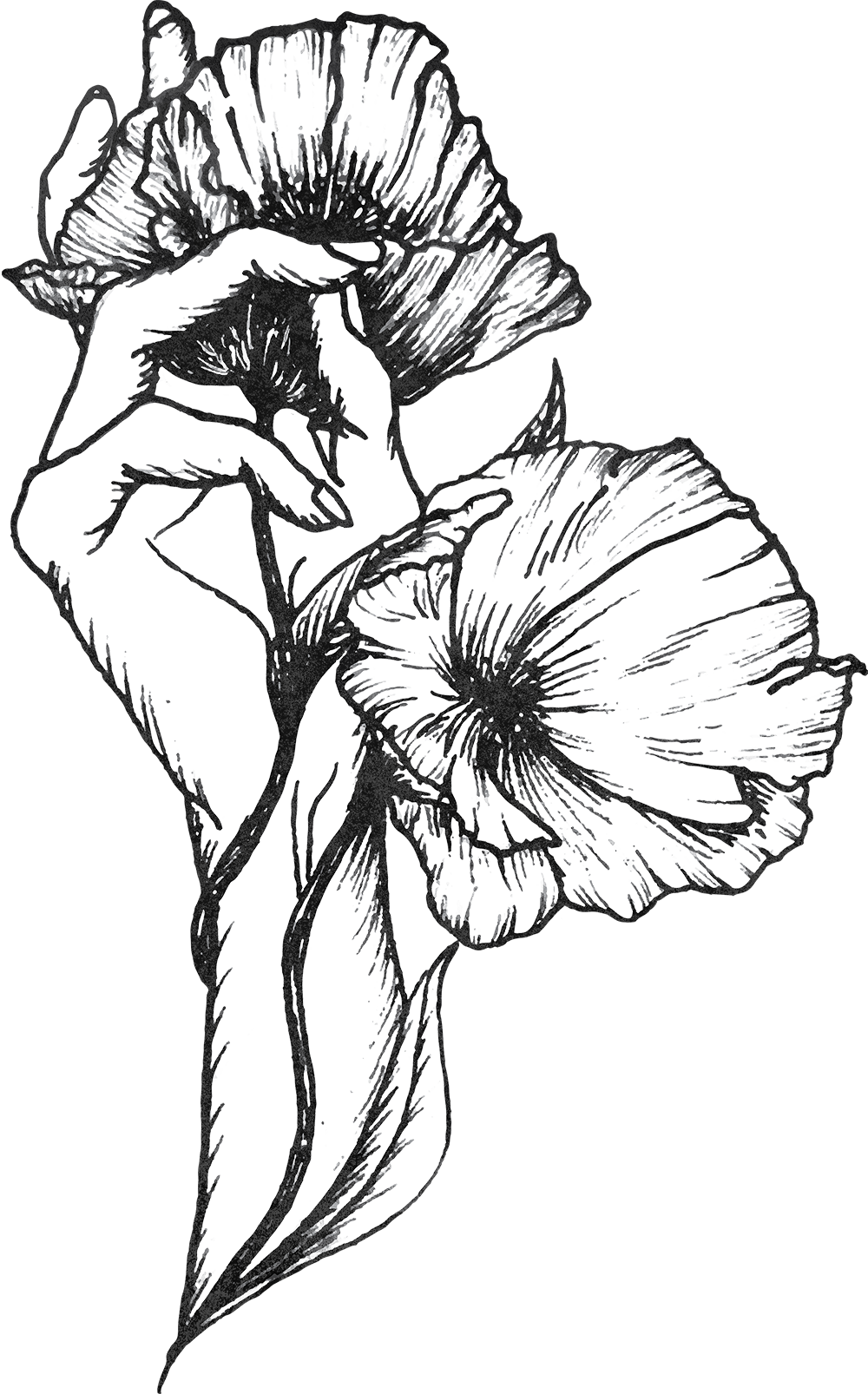 Branding For Creatives - Blog (1000x1606), Png Download