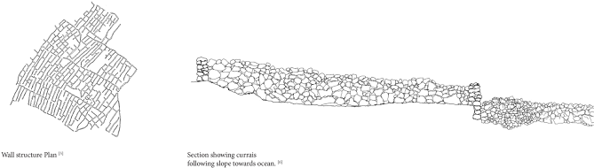 Today, Families On The Island Sell Their Grapes To - Architect (670x224), Png Download