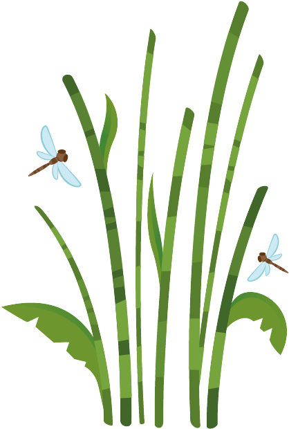 Cañas De Bambu Dibujos (700x700), Png Download