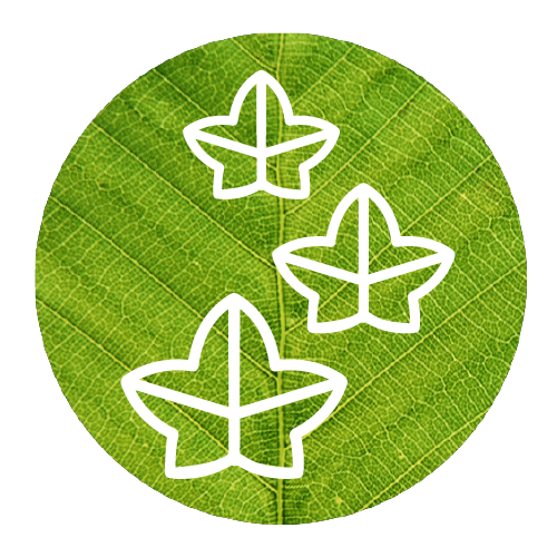 464 - Emblem (500x500), Png Download