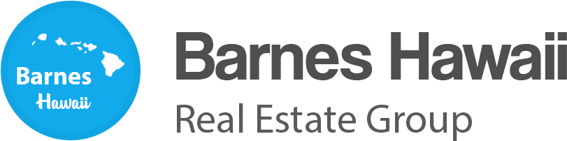 Barnes Hawaii Group Logo - Barnes Hawaii Group (836x266), Png Download