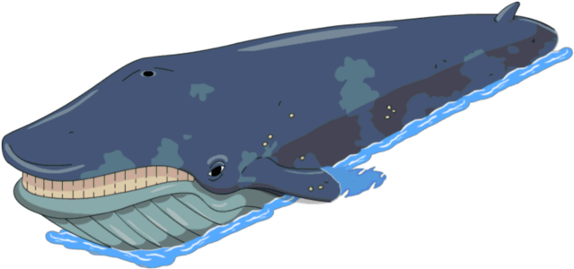 File - Whale - Whales (640x327), Png Download