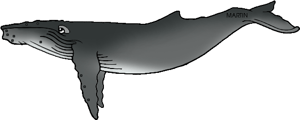Humpback Whale Tails Clipart - Humpback Whale Clip Art (648x297), Png Download