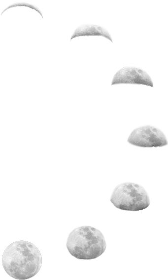 Moon Phases Tumblr Transparent - Moon Phase Transparent Background (485x700), Png Download