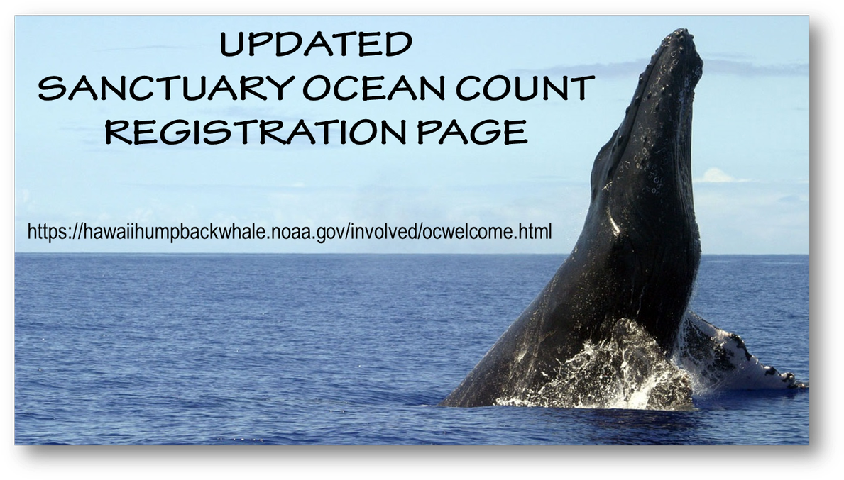 The Sanctuary Ocean Count Online Registration Is Now (1200x687), Png Download