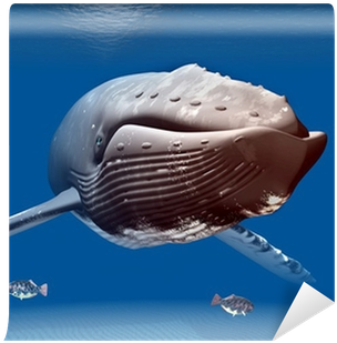 Humpback Whale (400x400), Png Download