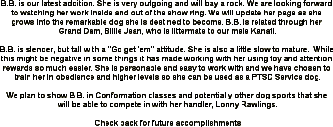 Pedigree For Braveheart's Ballista Catahoula Leopard - Number (695x351), Png Download