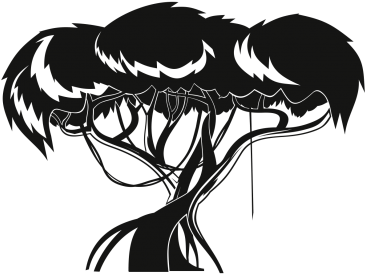 Jungle Tree Drawing At Getdrawings - Drawing Of A Jungle Trees (400x300), Png Download