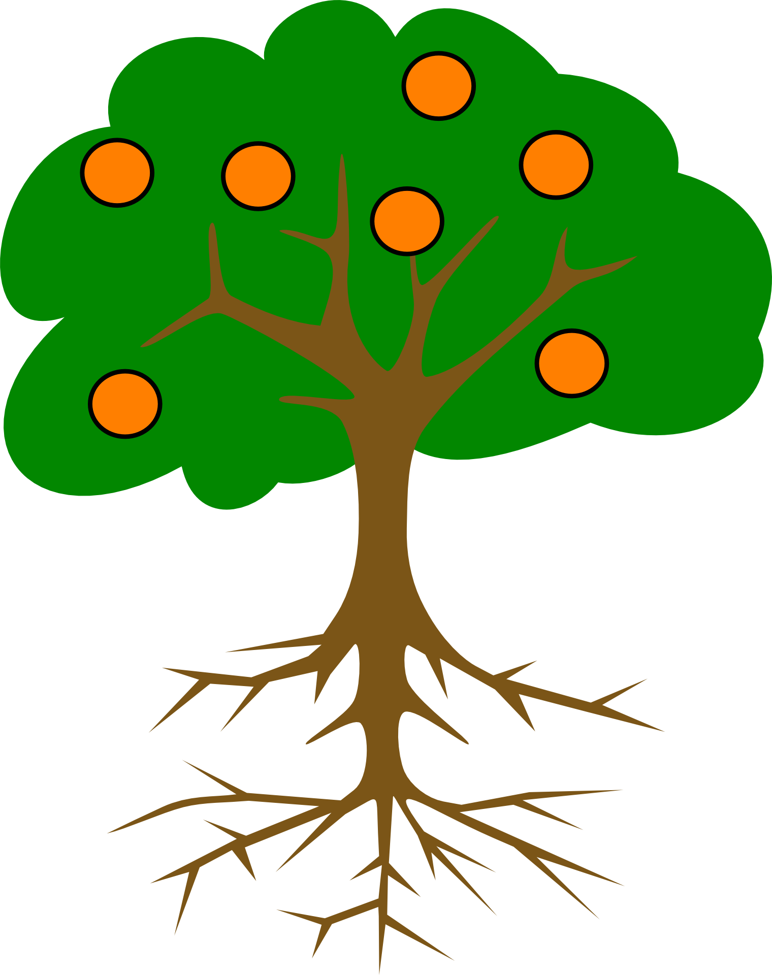 Drawing Of An Orange Tree With Roots - Tree Drawing With Fruits (1520x1920), Png Download
