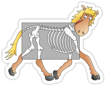 Of Course, Shooting X Rays At A Horse Wouldn't Really - Old X Ray Cartoon (375x360), Png Download
