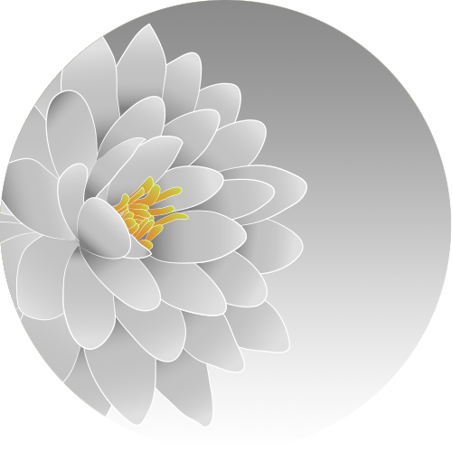 Silver Sparkle - Dahlia (500x500), Png Download