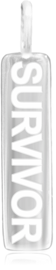 Sterling Silver Pendant Word Bar Survivor - Pendant (900x900), Png Download
