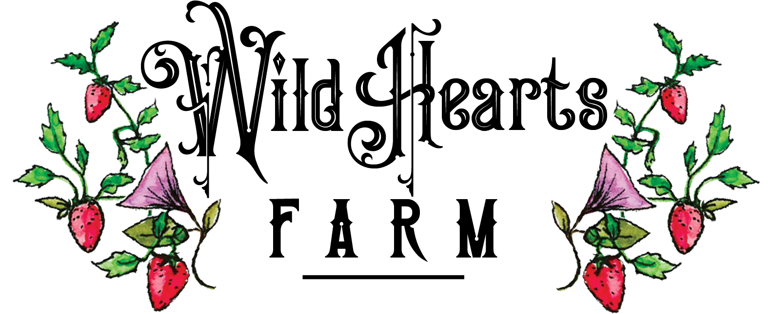 Wild Hearts Farm (1660x779), Png Download