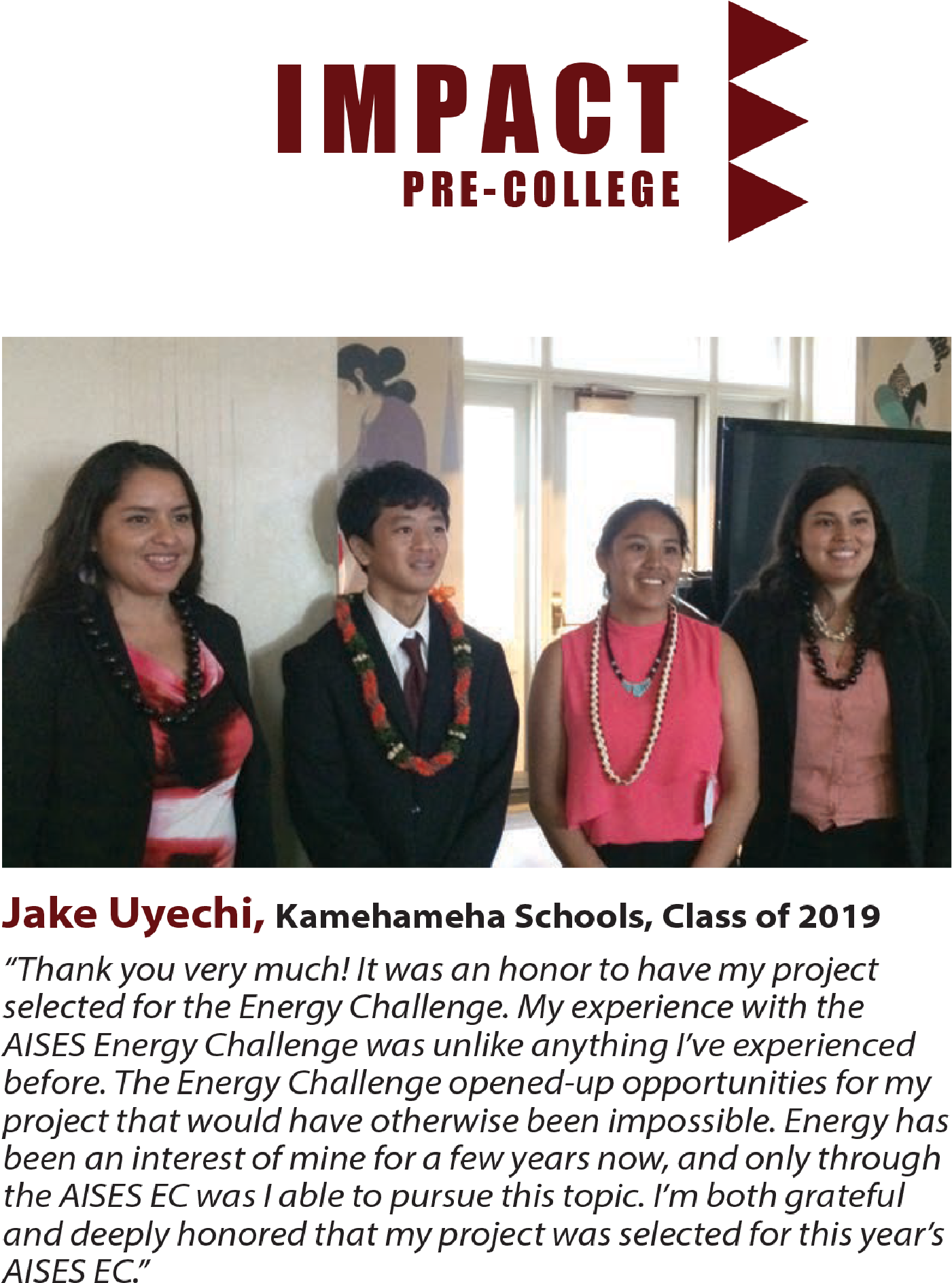 Our Four Program Areas - Poster (1400x1920), Png Download