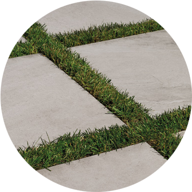 None - Grass (390x394), Png Download