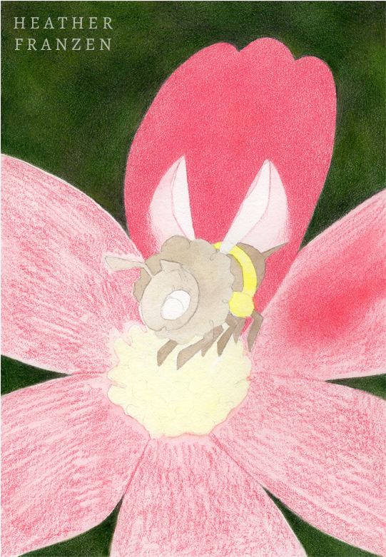 Shaving Pencil Lead To Fill Large Areas In Half The - Pencil (600x850), Png Download