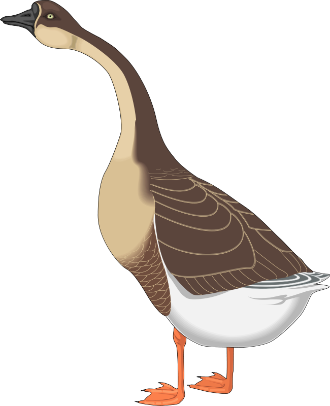 Goose Clipart Png (650x800), Png Download