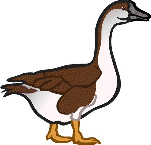 Vector Graphics, - Clip Art Goose (500x481), Png Download