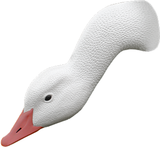 Goose Head Png - Goose Head Transparent (362x354), Png Download