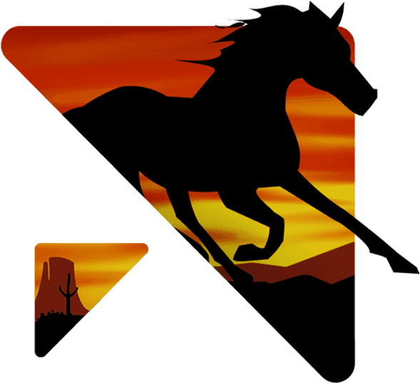 Black Horse - Horse (800x600), Png Download